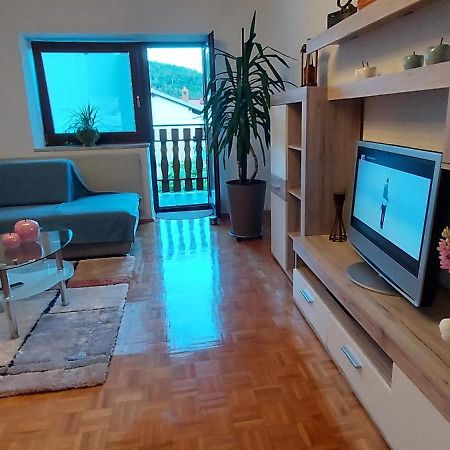 Apartma Pr' Ivani Miskorinovi Breginj Exterior foto