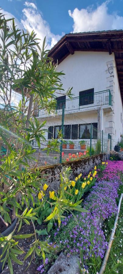 Apartma Pr' Ivani Miskorinovi Breginj Exterior foto